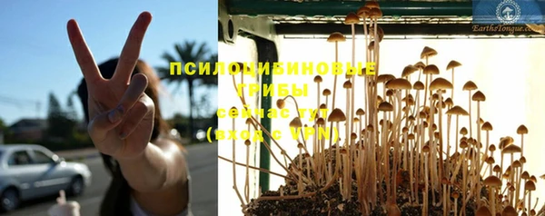 Альфа ПВП Кукмор