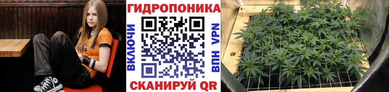 Марихуана Ganja  Купить закладки  Зарайск 